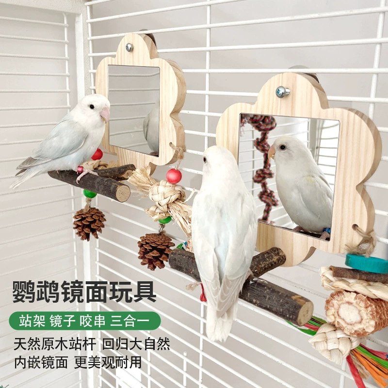 Зеркало-игрушка для попугая, кореллы, неразлучника, волнистого попугая, деревянная перекладина, забавная жевательная веревка, шлифовальная палочка для когтей птицы, зеркальная подставка