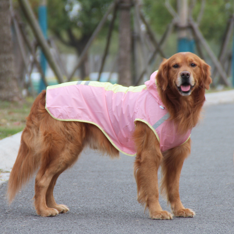 寵它柴犬金毛大狗雨披反光拼色寵物雨衣亞馬遜狗狗衣服一件代發