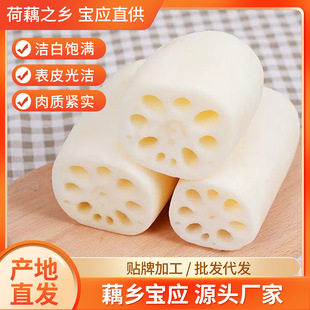 500��*20����ˮɏź��źƬ�S�ҹ����α��rȥƤ���r��ɏź