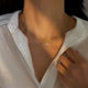 Titanium Steel Color-free Snake Bone Chain Niche Necklace Women's Light Luxury Necklace High-grade Clavicle Chain Ins Cold Style Accessories