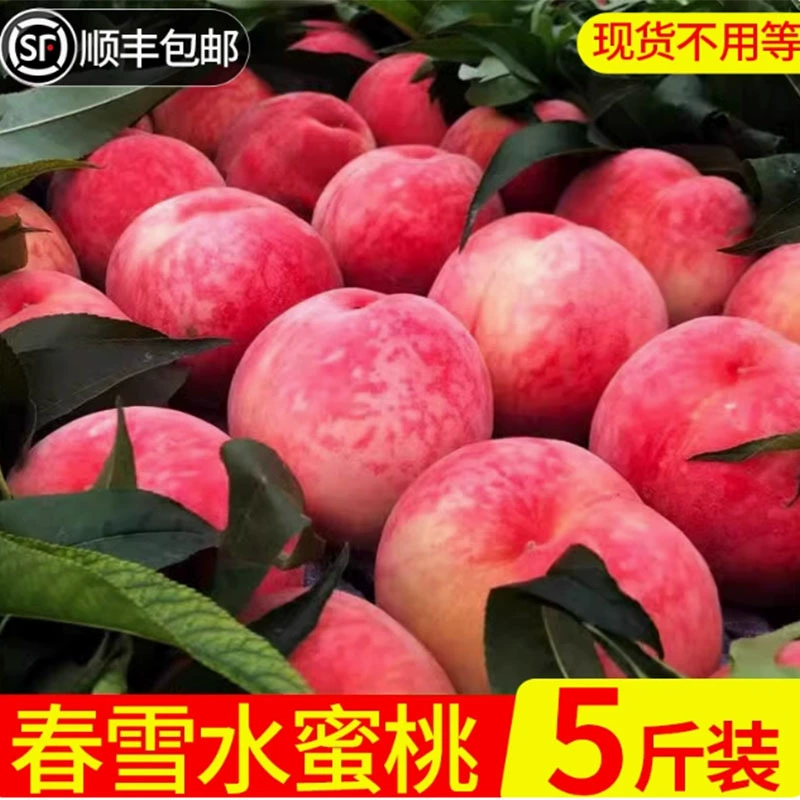 Сезонные свежесобранные хрустящие, сладкие и сочные персики первого урожая из Шаньдуна для беременных женщин, доставка персиков