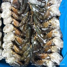 ��з��20�� ��з����з��з��������з�� �����]