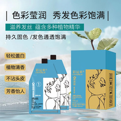 植物バブル染毛剤卸売ヘアピュアフレグランスタイプ青と黒の有名な染料クリーム怠惰な白から黒のヘアアーティスト染毛剤