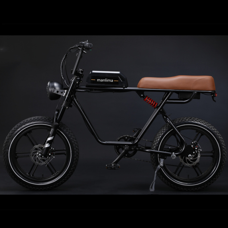 Cross-Border Foreign Trade Custom-Made Large-Sized Two-Wheeled Electric Scooter, Electric Lithium Bike, Electric Bicycle, Electric Battery Vehicle