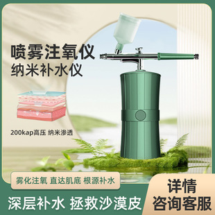 New Oxygen Instiller High Pressure Hydrating Instrument Spray Handheld Needle-free Water Light Beauty Introduction Instrument Beauty Household Portable
