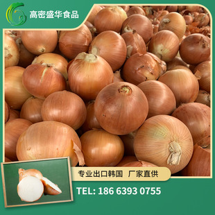 2022 Gansu Fresh Onion 9cm выше 15 кг.