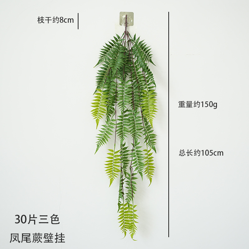 30잎 삼색 봉미고사리 벽걸이