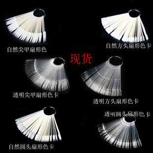 Special cross-border 50-color fan-shaped color card practice nail 50 long French pointed nail fan-shaped nail art tools