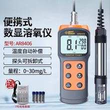 AR8406溶氧仪便携式检测仪鱼塘水产养殖水质检测溶解氧测定仪