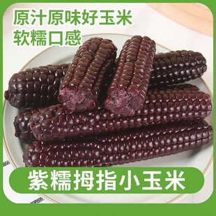 ������p��{��ŴĴָС���׵�֬���ʹּZ�oʳ������Ʒ�N��ŴܛŴ