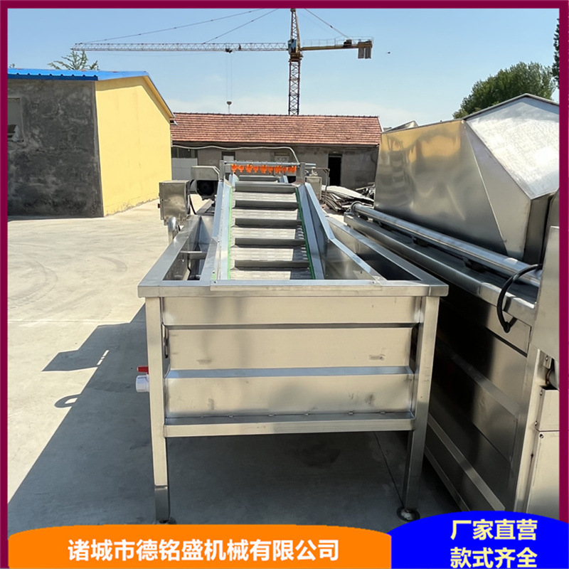 海参鱿鱼清洗机 冰冻海产品加工设备 带鱼段挂冰机