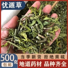 ������ָɽ�n�ݲ����r���ܲ��������{�컨������������500g���]