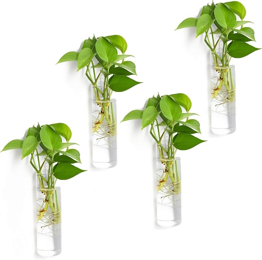 Plant Glass Cylindrical Wall-Mounted Flower Pot Plant Hydroponic Cultivation Station Suitable for Home Garden Living Room Bedroom Decoration 5