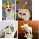 Five-pointed star golden shining birthday hat children's one-year-old headdress scene decoration cross-border pet birthday party hat
