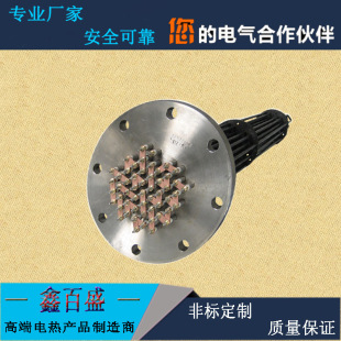 不銹鋼316防腐蝕法蘭加熱器 電鍋爐水燒電熱管 槽體水箱加熱器
