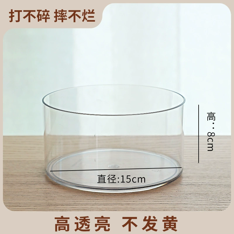 Transparent Square Hydroponic Vase, Desktop Shatterproof Planter, Multiple Sizes (8–30 cm)