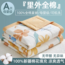 �����ȼҼ��ě�������100%ȫ�޿��{��ˮϴ�ı������p���ļ�������