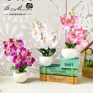 �ٻ��p������m�辰���滨����[�����컨�S������[����������