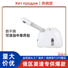 跨境爆款金稻蒸脸仪纳米喷雾补水仪脸部保湿热喷机院用小型喷雾器
