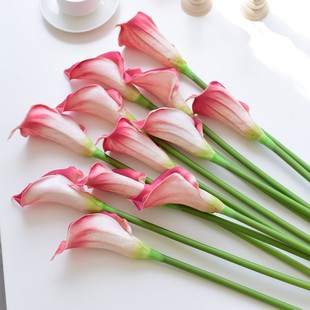 �ָ��R��ɏ���滨�͏d�ҕ���ٻܻ��[�O���Wins�����b�c��ˇ