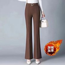 ӽq/ӽqѝŮﶬ2025¿ӽqѝӸӺɫ΢ѝ