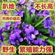 ���羳��؛���ϻ��ض��N���Ѳ��ϻ��ض����N���ļ��Nֲ����ș�ÿ�