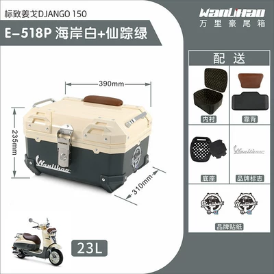 Motorcycle trunk, Wanlihao Peugeot Django 150 - jango-518p-coastal-white-fairy-green-lining-brown-backrest