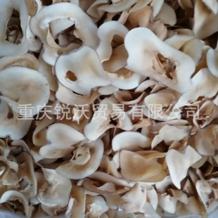 1������ɢ�b���l��Ҭ�ӹ�������Ҭ��Ƭ