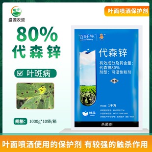 �����n�� ������ 80%��ɭ�\ �{�� �����~�߲� �rș��������ˮ׃�{
