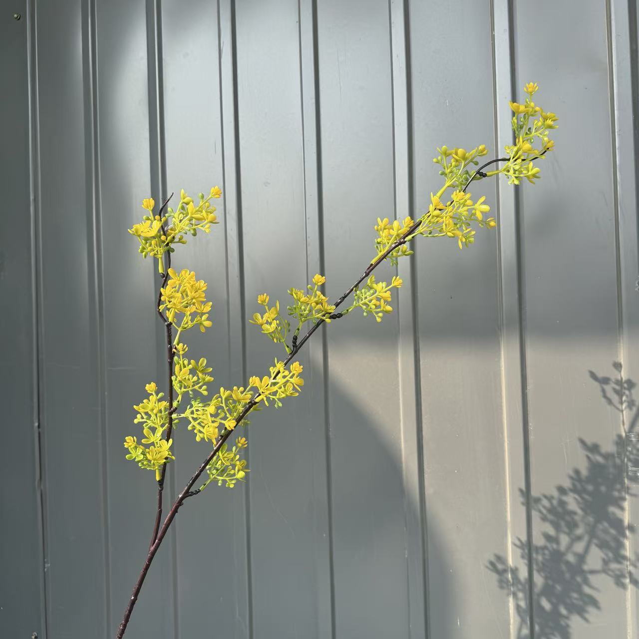 두 갈래의 윤향꽃