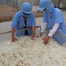 Խ�Ϲ���ֱ��С����С������ɳ�㽺�ɻ�ˮ�������ɻ������ɿ���Ʊ