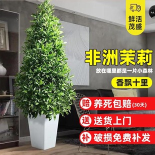 ����������;Gֲ���Կ͏d�҃���ػ���ֲ������՚�����ȩ���B��