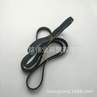Shuanglong – Belt Belt 5PK1596
