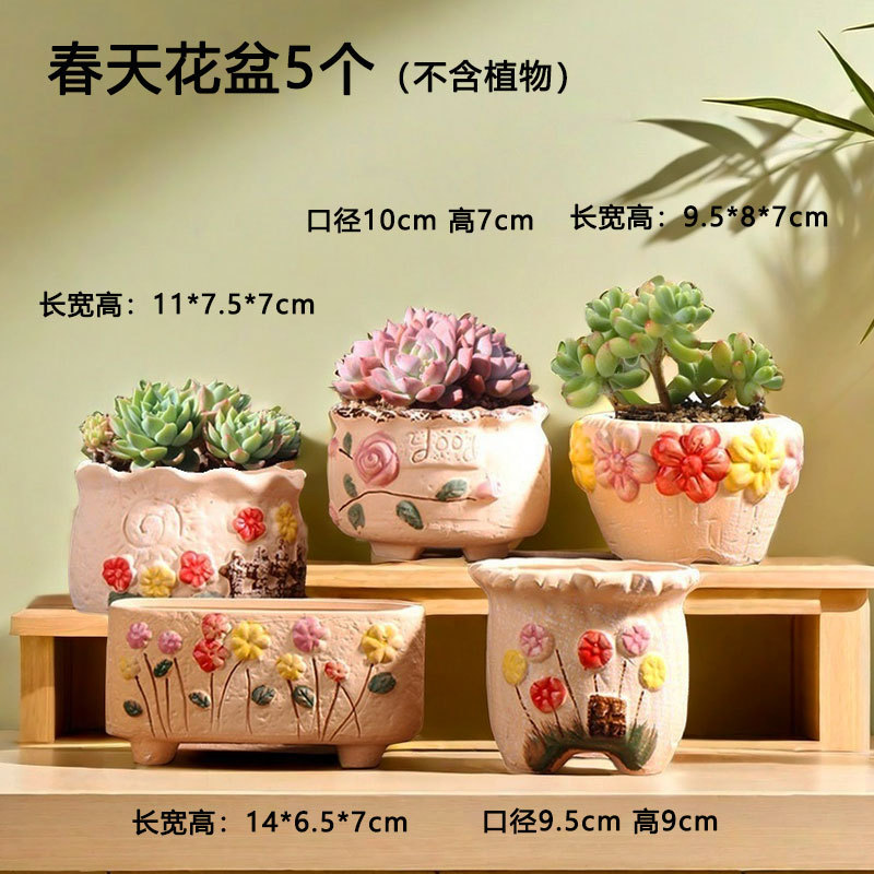 Twilight pastoral transpirable suculentas maceta cerámica hogar carne especial pequeña cerámica cerámica venta directa de fábrica al por mayor
