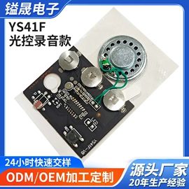 玩具配件;集成电路;电子模块