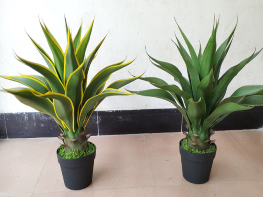 0a09286f173ccf1dc007b8ec0e3299