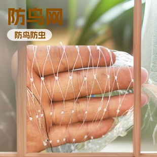 ���B�W�����W�̨���Ҙ����Ѵ����~������W�S�����l