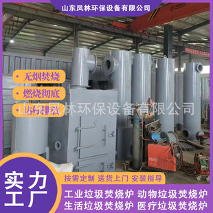 Processing 5-10 Tons of Large-Scale Garbage Incineration Equipment, Household Garbage Incinerator, Customizable, Meeting Emission Standards