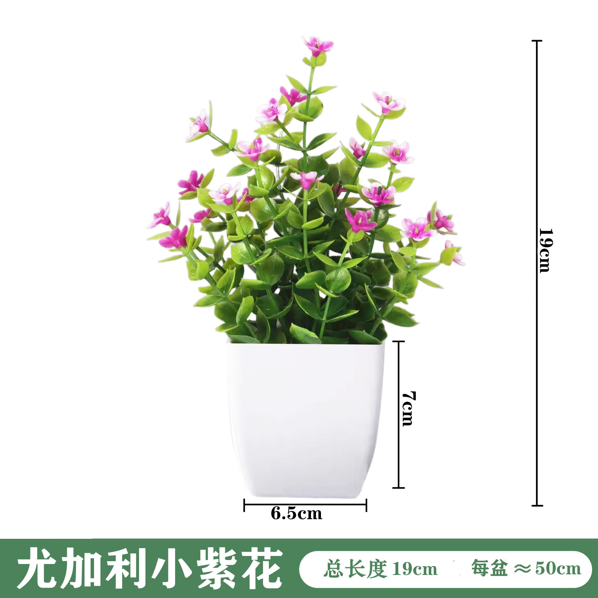 미니 흰색 화분 [유칼립투스 보라색 꽃]