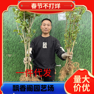 һ�����l����ɣ�ؘ���޽�ɣ�����Lɣ���Ե��Թ�ɣ���ϱ����ļ��N