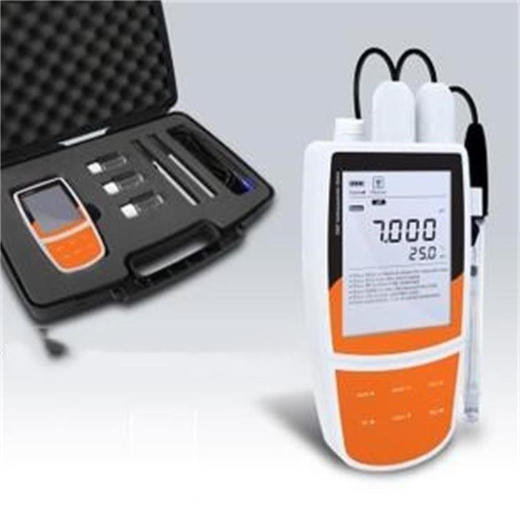 便携式多参数水质测量仪 型号:BT26-Bante900P-CN