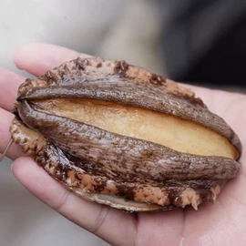 其他水产加工;水产干货类;鱼类