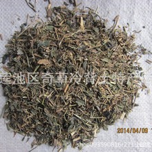 g{,gm,g{,~đ,Сș,_偵,șg{