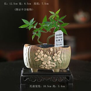 �����Ǻ���С���P����������}�P�����̨�{�մ�С̖���Ǽ��øG׃