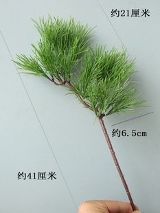 �ٺ����Rβ�ɘ���������_�h���ɘ�֦�l����°ؾG�~����