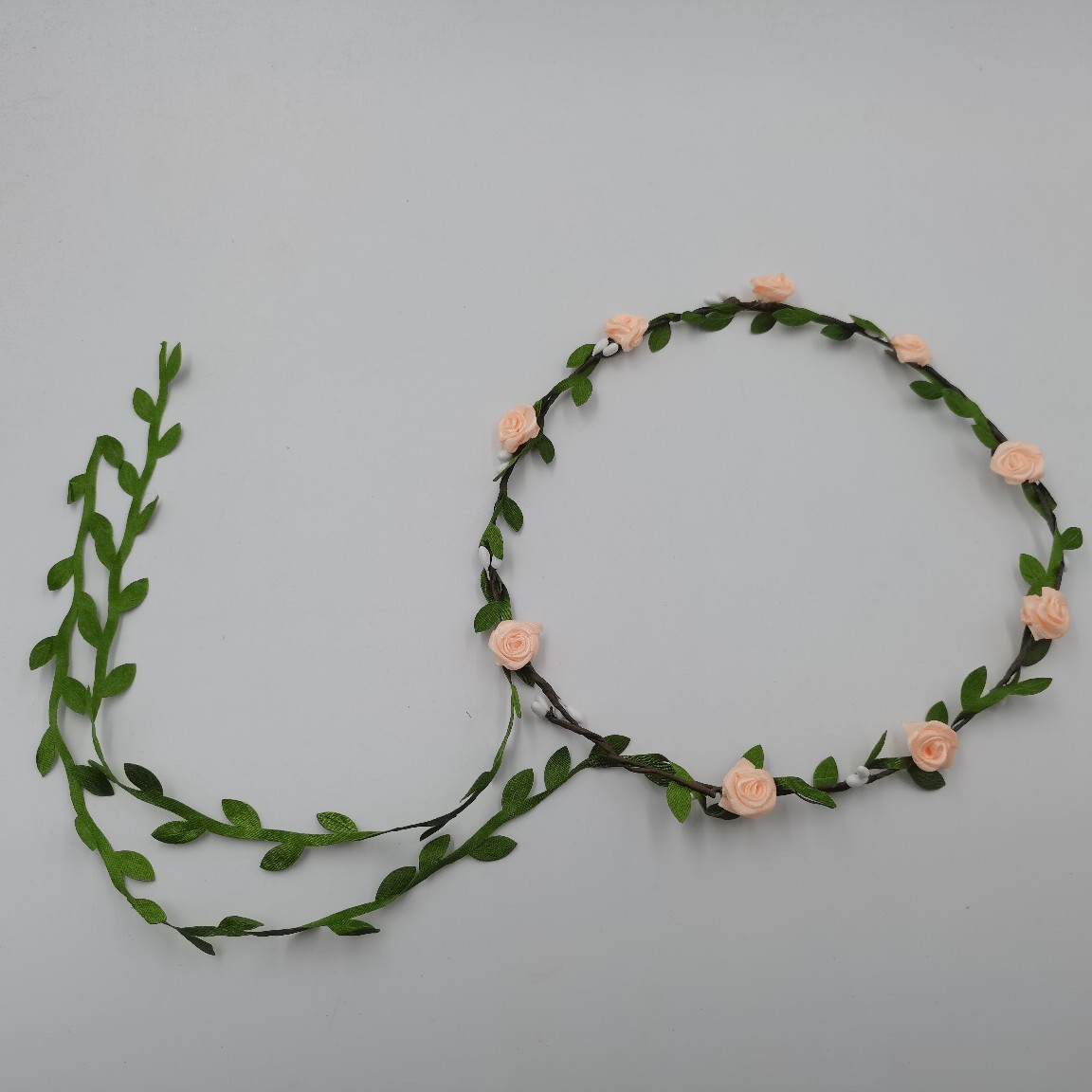 얕은 스노우 버드