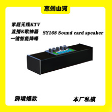 SY168跨境声卡音响直播专业设备英文包装直播声卡经济实惠款