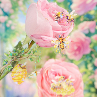 ���õ�һ���N�������ۻ��@ϵ���۷����}PETؐ�������~�ز�ƴ�N4��