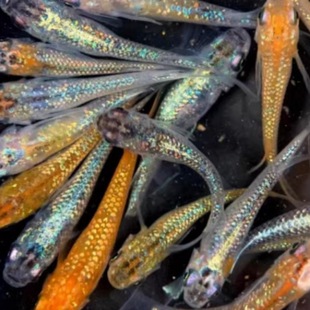 �^�����F��ˮ�^�p�~ħ���~��ˮ�~С�\�����~ˮ����B���w������]