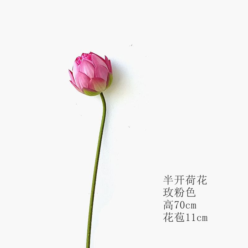 세미 로터스 로즈 핑크